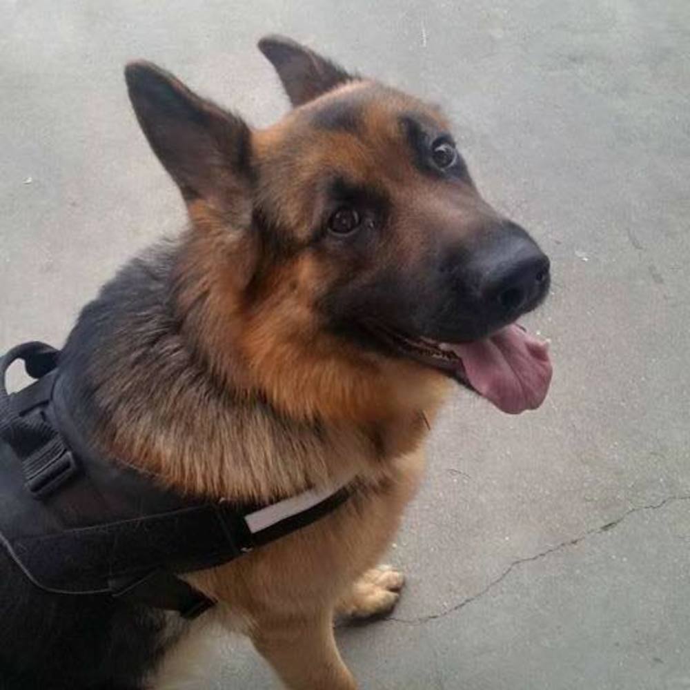 Meet your Posher, Catherine